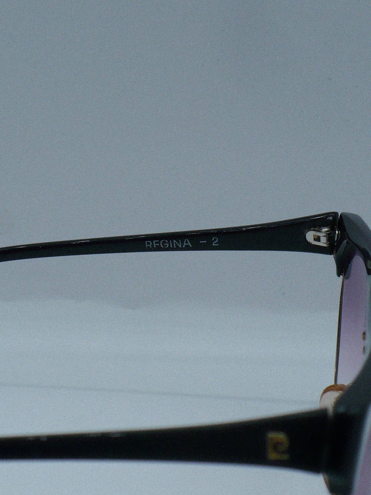 Regina 1980s Pierre Cardin Sunglasses brand title 2