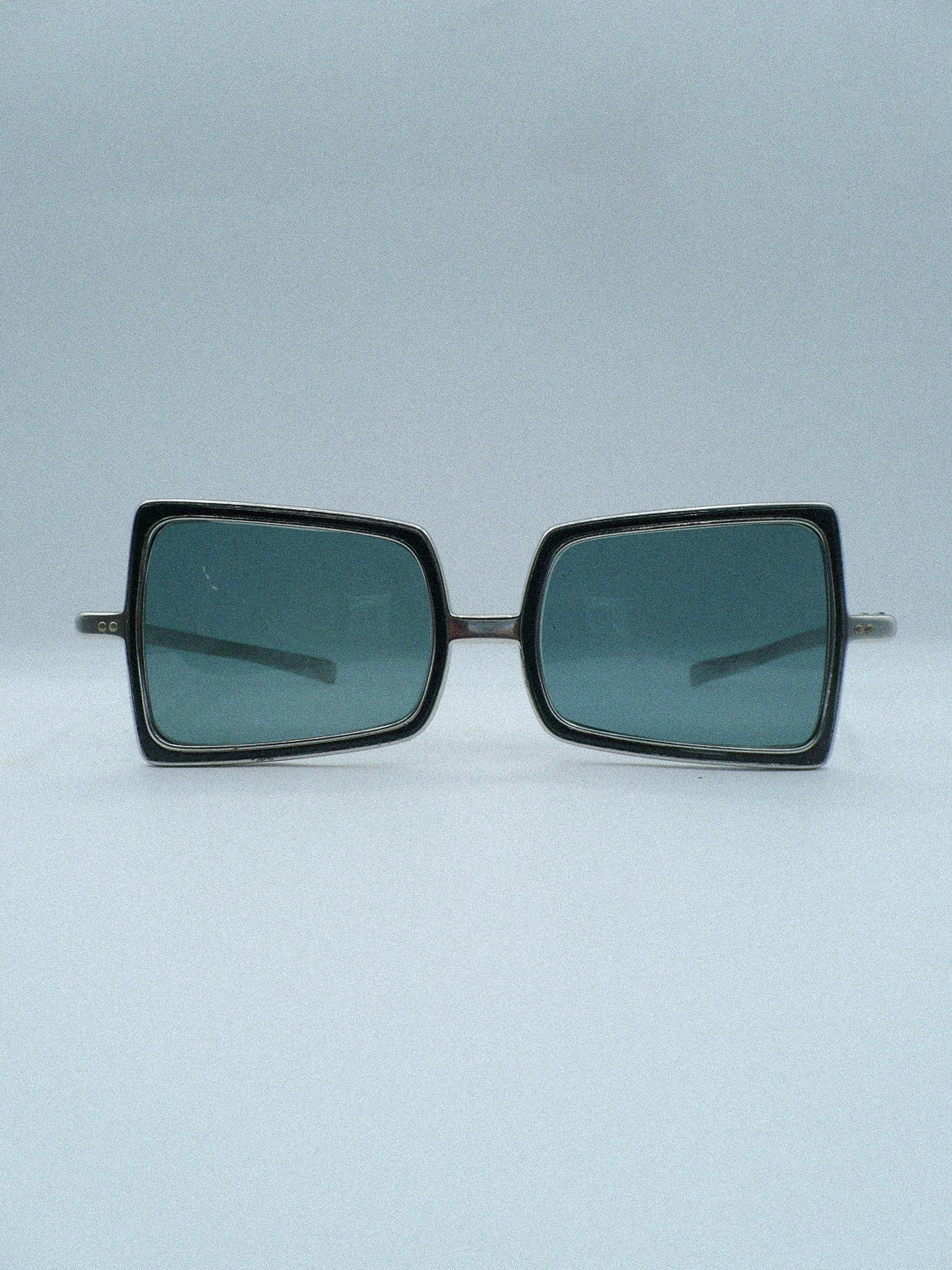 Vintage 1960s Renauld Luxury Sunglasses front side