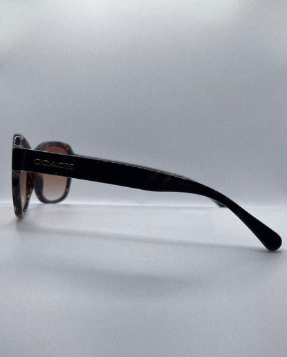 2020s Coach Sunglasses | Archive 0376