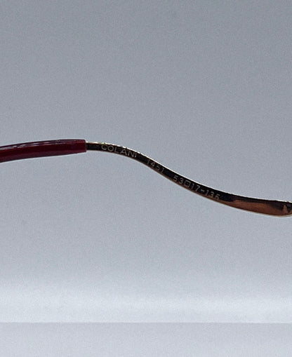 1980s Luigi Colani Frames | Archive 0343