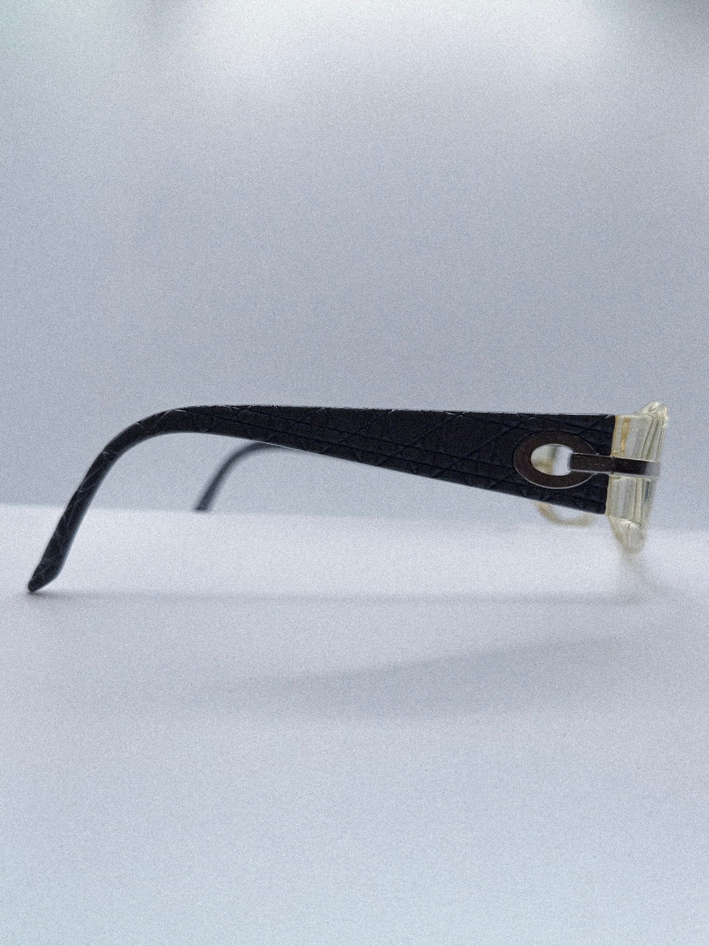 **1990s Christian Dior Frames | Archive 0258