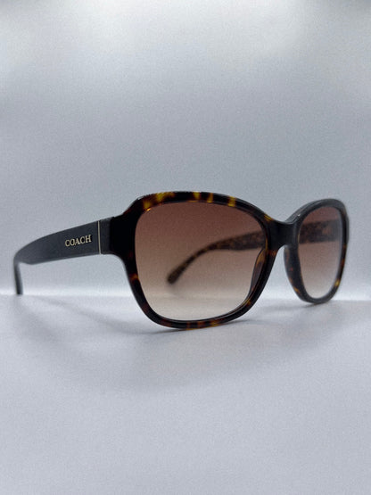 2020s Coach Sunglasses | Archive 0376