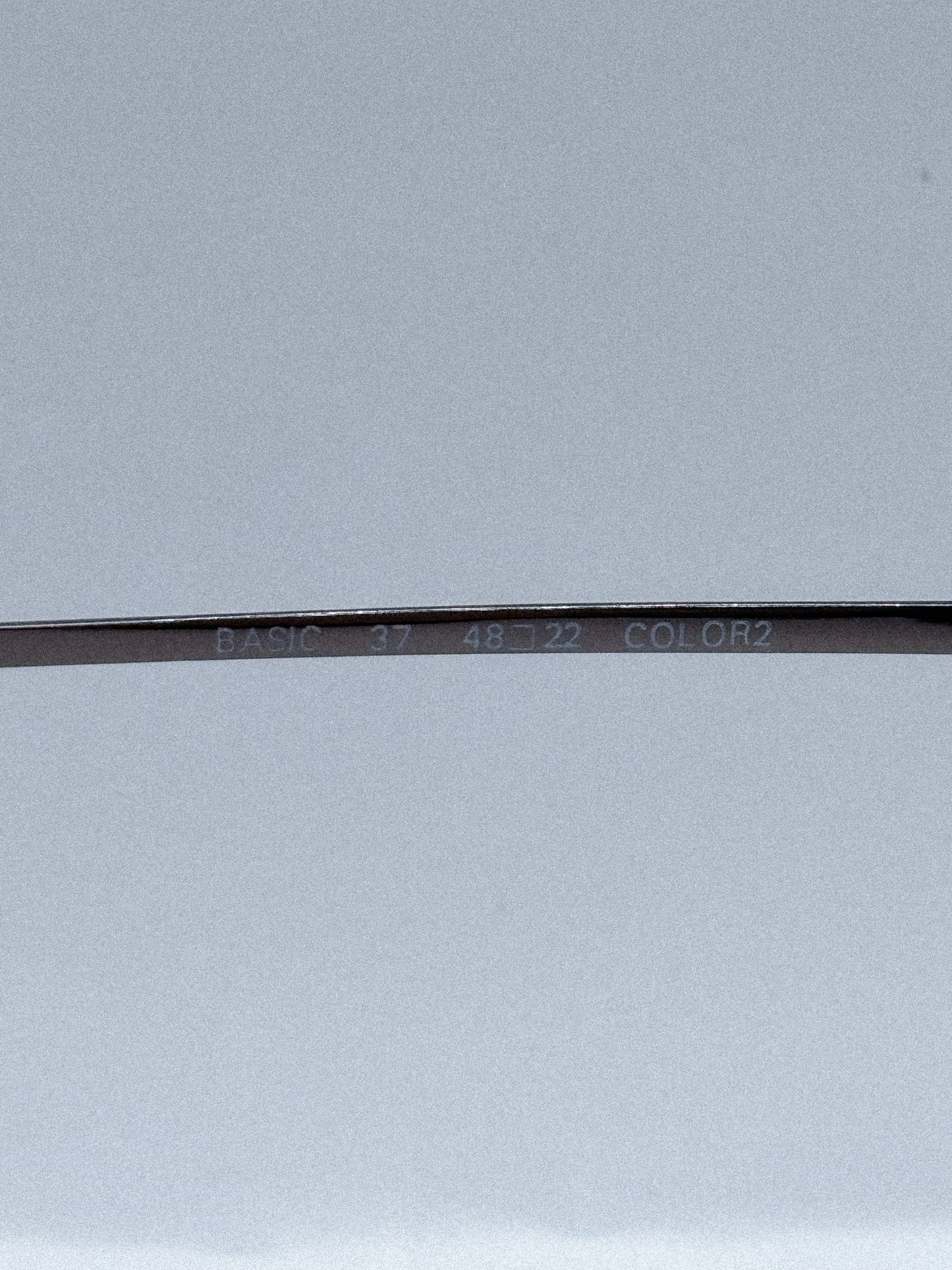 “Soft Echo” 1980s Swan Sunglasses