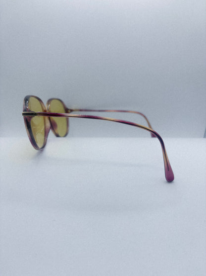 “Golden Haze” 1980s SPX Sunglasses