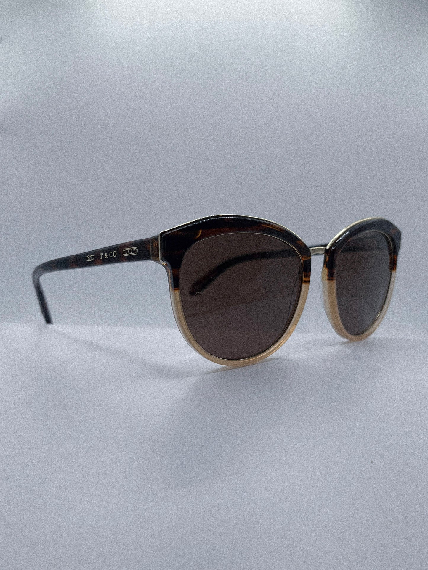 2017 Tiffany & Co. Sunglasses | Archive 0264