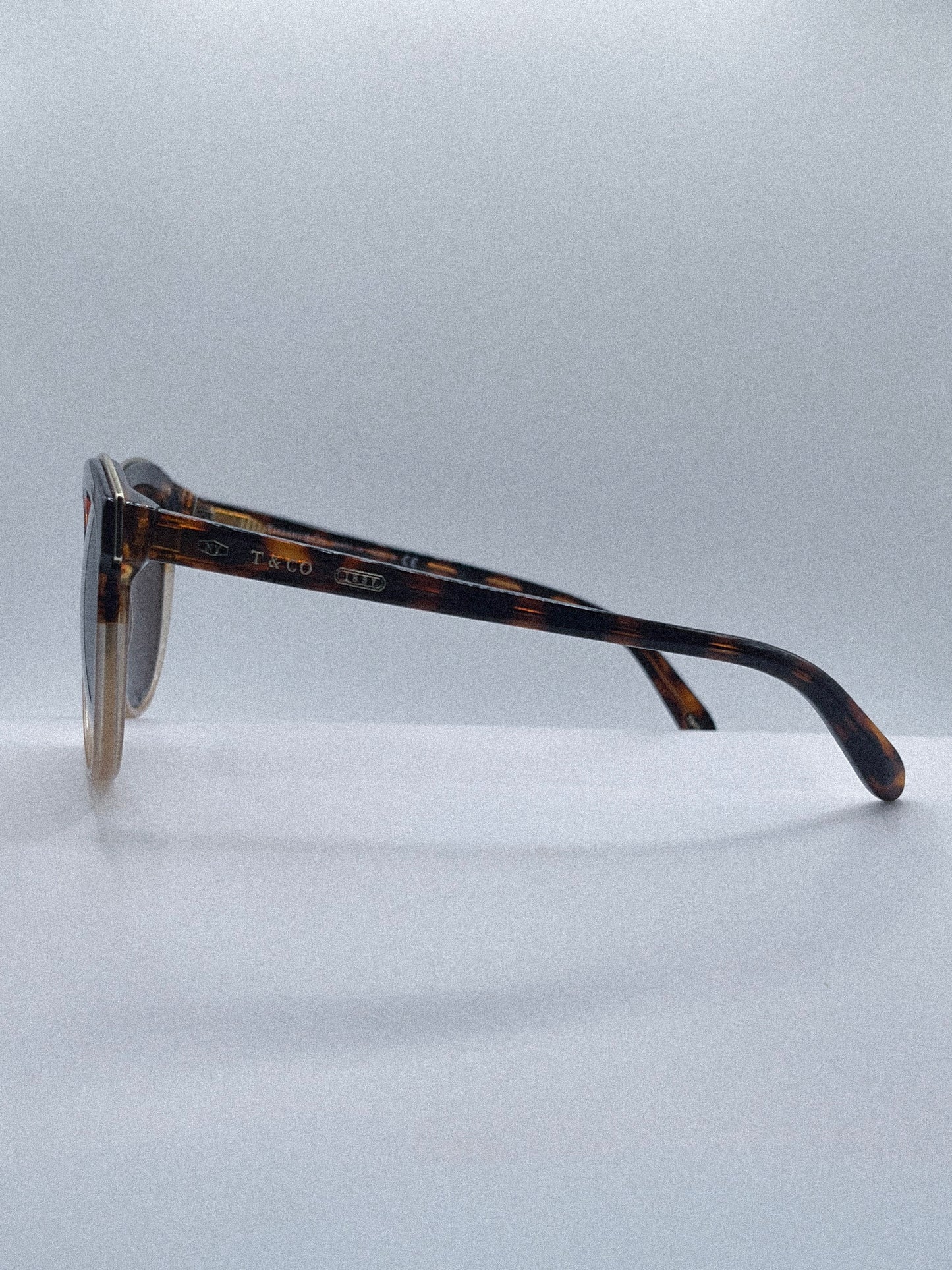2017 Tiffany & Co. Sunglasses | Archive 0264