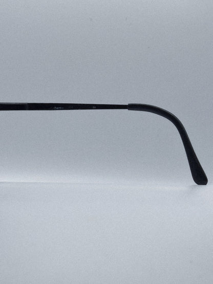 1980s Charmant Sunglasses | Archive 0093