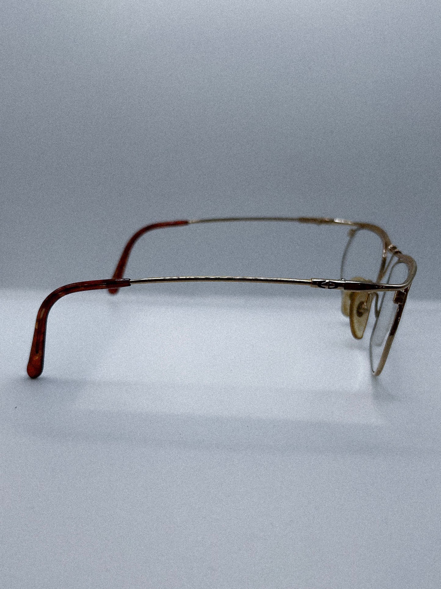 “Golden Unibrow” 1990s Dior Eyeglasses